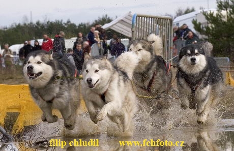 Maasmechelen 05 - 750.jpg